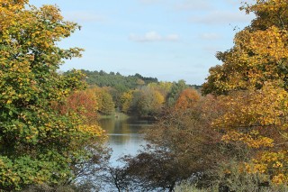 aw-duinen-30